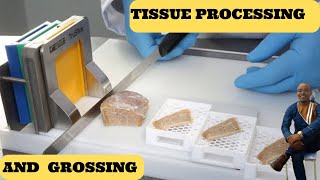 Histopathology part 3 Tissue Processing  Clearing Impregnation [upl. by Ramirolg]