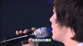 【中字】110211 圭賢  Snow Flower 雪花 韓文版  KRY Korea Concert [upl. by Haral]