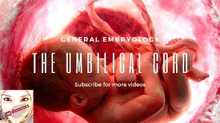 Medical embryology  The umbilical cord [upl. by Meyers]