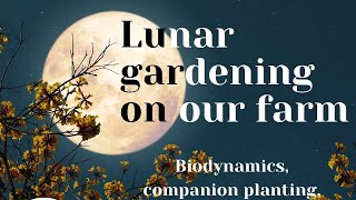 Lunar gardening on our farm in Provence France [upl. by Abran]