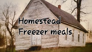 Homestead Freezer Meals Lasagna Salisbury Steak BIG HELP [upl. by Emmer]