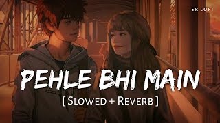 Pehle Bhi Main Slowed  Reverb  Vishal Mishra  Animal  SR Lofi [upl. by Lecirg]