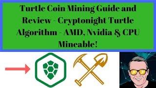 Turtle Coin Mining Guide and Review  Cryptonight Turtle Algorithm [upl. by Acirtap]