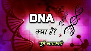 What is DNA With Full Information – Hindi – Quick Support [upl. by Sams652]