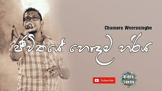 Jeewithaye Hodama Hariya  ජීවිතයේ හොඳම හරිය  Sinhala Songs  Chamara Weerasinghe [upl. by Idel]