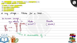 The two versions of a trait character which are brought in by the [upl. by Odiug]