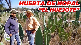 HUERTA DE NOPAL  Rancho Cinco Talentos  Zacatecas [upl. by Cullen]