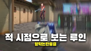 현 프로들 상대 시점으로 보는 루인 제트 매드무비ft 뉴턴RC외 유명스트리머 [upl. by Rubetta28]