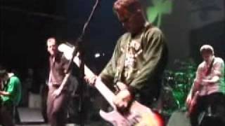 Dropkick Murphys  Alcohol  Live [upl. by Joella]