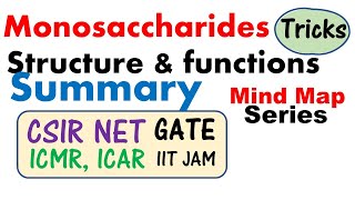 Monosaccharides structure and function biochemistry lecture [upl. by Sexela]