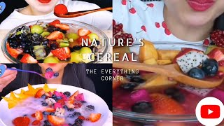 Best Natures Cereal mukbang ASMR Mukbang Eating Sounds COMPILATION fruits and coconut milk [upl. by Ewer]