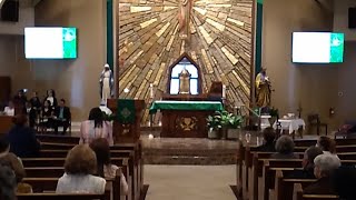 St Thomas Aquinas Catholic Church is going live [upl. by Anirbus]