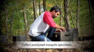 Collecting Anopheles Mosquitoes Using Resting Boxes [upl. by Naicad]