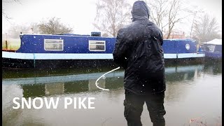 Pike fishing in the SNOW with the Chinger Fisherman [upl. by Bovill]