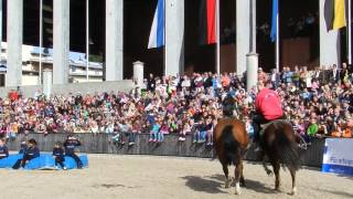 犬の乗馬 Dog riding a horse 2021017 [upl. by Matilde444]