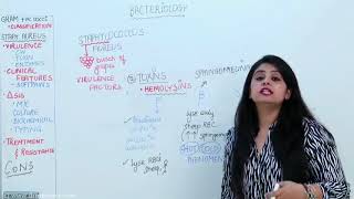 Dr Preeti Sharma discussing Staphylococcus in Microbiology  Free Video  6 [upl. by Adas]