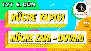 6 Hücre Yapısı Hücre Zarı Hücre Duvarı Konu Anlatımı  9 Sınıf Biyoloji  YKS 2023  TYT 6 Gün [upl. by Owades672]