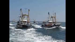 Brixham Trawler Race 2014  the finish [upl. by Fayola406]