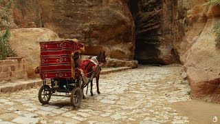 Petra And The Lost Kingdom Of The Nabataeans  Documentary [upl. by Nonrev]