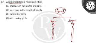 Apical meristem is responsible for [upl. by Akimak677]