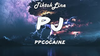 PJ  ppcocaine Lyrics Bitch did you hear what the fuck I said Shake some ass ho [upl. by Brendan]