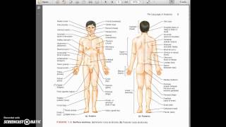 Pronunciation of Anatomical Terms [upl. by Amolap257]