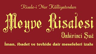 Risalei Nur KülliyatıŞûalar  Onbirinci Şuâ  Meyve Risalesi Tek Parça [upl. by Slrahc577]