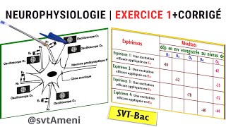 SVTBac Neurophysiologie Exercice 1  Corrigé [upl. by Eycats]