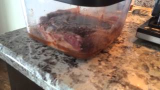 Quick video shows you how to Marinate meat with a Vacuum Sealer [upl. by Opal]