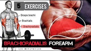 Best 5 Exercises quotBRACHIORADIALIS FOREARMquot Workout  SHREDDED BODY [upl. by Jayme]