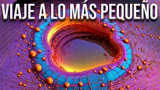 ¿Conoces la LONGITUD de PLANCK Descubre el secreto más profundo del UNIVERSO [upl. by Archambault656]