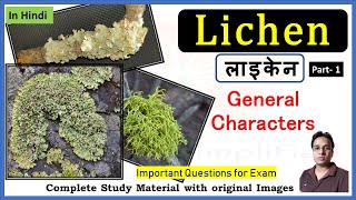 लाइकेन की सामान्य विशेषताएँ । Lichen general characters  Crustose  Foliose  Fruticose  Part 1 [upl. by Lynea]