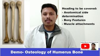 Humerus Osteology I bony features amp attachments I Full Demo I Dr Vibhash Vaidya [upl. by Inohs]