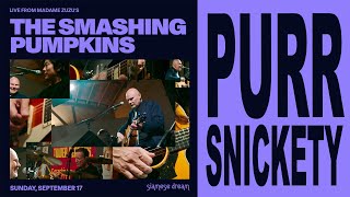 Purr Snickety Smashing Pumpkins Live from Madame Zuzus [upl. by Montano]