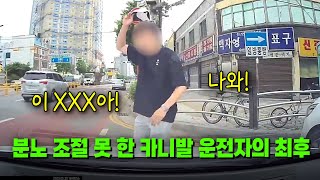 23174회 신호에 따라 좌회전하고 있는데 직진 차로에서 끼어들던 카니발 오히려 적반하장 화를 내던 카니발 운전자의 최후 [upl. by Artenek630]