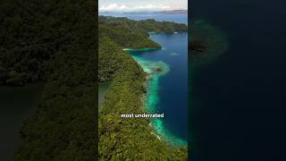 Sohoton Cove Tour amp Stingless Jellyfish 🪼 shorts jellyfish philippines [upl. by Eelano]