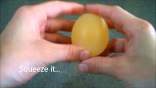 egg in vinegar experiment [upl. by Ahtaela658]