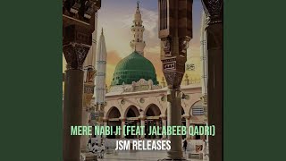 Mere Nabi Ji [upl. by Harts]