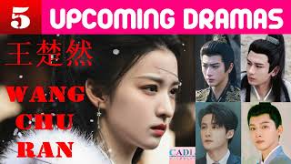 王楚然 Wang Churan  FIVE upcoming dramas  Wang Churan Drama List  CADL [upl. by Valentine]