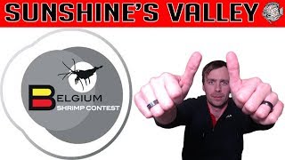 Belgium Shrimp Contest 2018 BSC 2018  PRACHTIGE beurs  Aquarium Sunshine Valley [upl. by Akirre]