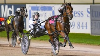 2024 Ladbrokes Blackbook Dividend Open Pace 1660M Albion Park Australia  Leap to Fame 1515 [upl. by Nilloc]