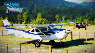 The Free Cessna 206 in Flight Simulator 2020  Inflight Cinematic Review [upl. by Treborsemaj]