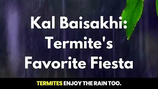 Termites in Home Call Pestico Anti Termite Treatment pesticopest [upl. by Aileno]