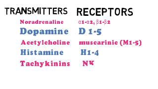 What are Neurotransmitters and their receptors [upl. by Suiramad]