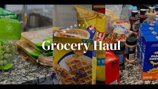 Did I Cut My Grocery Bill By 400 This MonthFamily Of 5 Budget Friendly Grocery Haul [upl. by Yrrap]