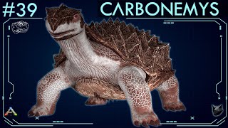 TODO SOBRE EL CARBONEMYS 39  ARK Survival Evolved  Dossiers La Isla [upl. by Siroval]