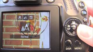 Canon Powershot SX40 HS Tutorial Step Seven  Manual Focus [upl. by Alliscirp]