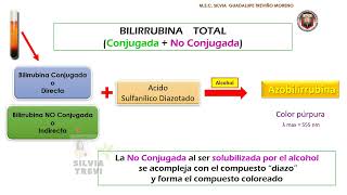 DETERMINACIÓN DE BILIRRUBINA SÉRICA [upl. by Partan1]