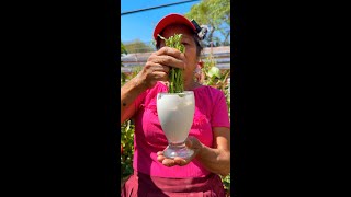 EL mejor CICATRIZANTE Y ENRAIZANTE para tus plantas LA CAL  ENRAIZANTE casero para CACTUS y FLORES [upl. by Glenn]