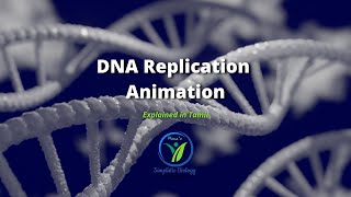 DNA Replication  Animation Video  Explained in Tamil  Monas Simplistic Biology [upl. by Mosi]